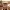 site background